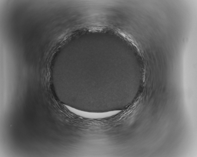 X0000093411445200710260928