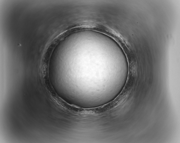 X0000093411448200710260928