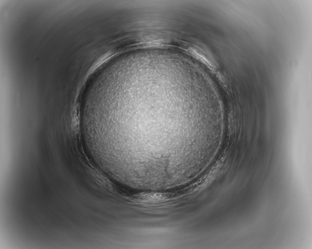 X0000093411450200710260928