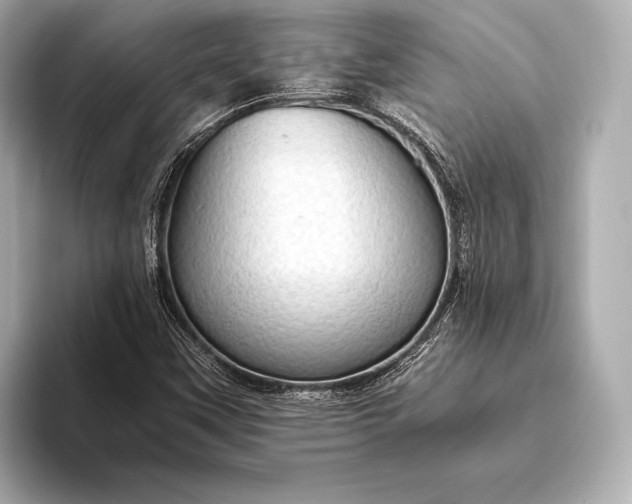 X0000093411451200710260928