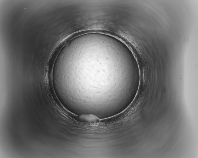 X0000093411452200710260928