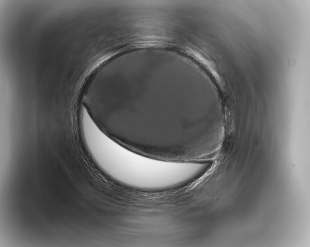 X0000093411453200710260928