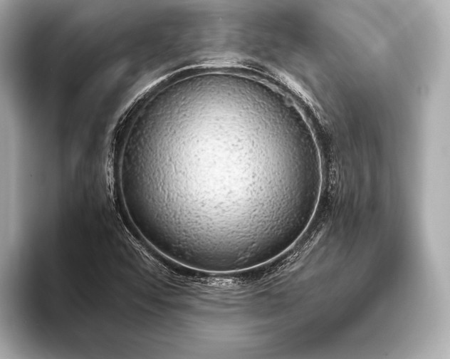 X0000093411456200710260928