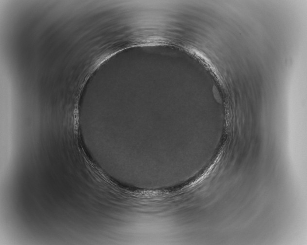 X0000093411457200710260928