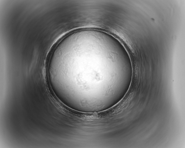 X0000093411460200710260928