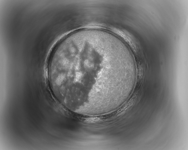 X0000093411462200710260928