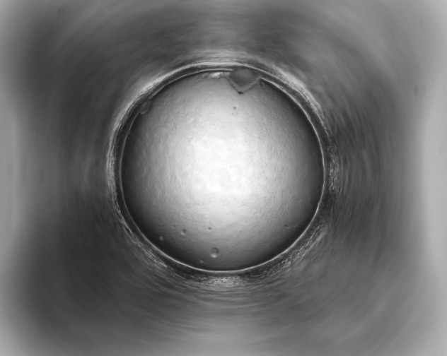 X0000093411464200710260928