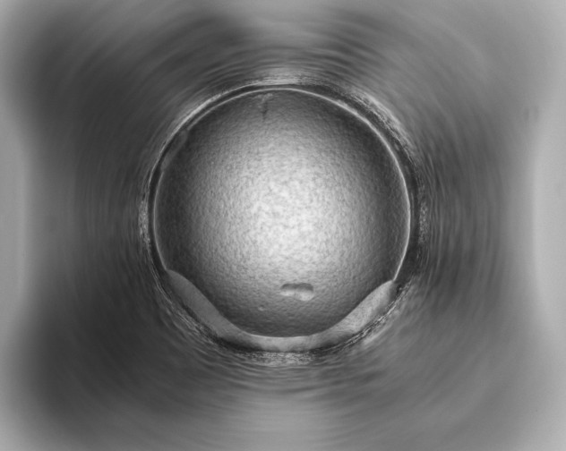 X0000093411465200710260928