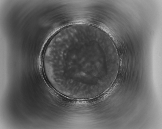 X0000093411466200710260928