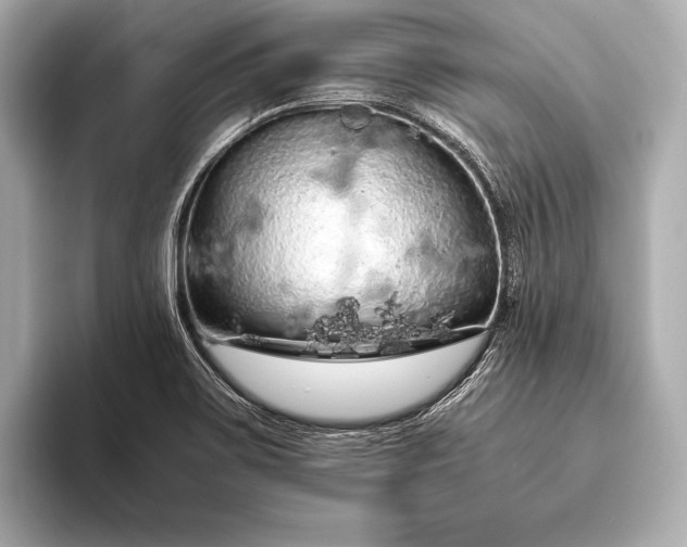 X0000093411467200710260928