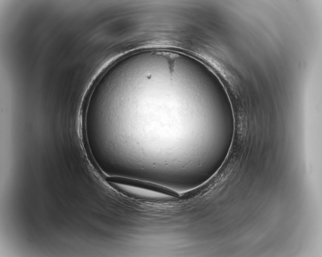 X0000093411468200710260928