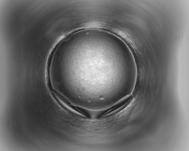 X0000093411469200710260928