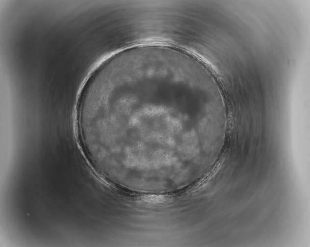 X0000093411470200710260928