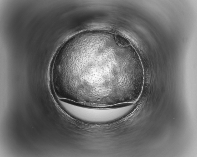 X0000093411471200710260928