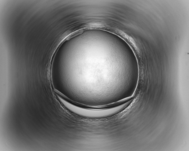 X0000093411473200710260928