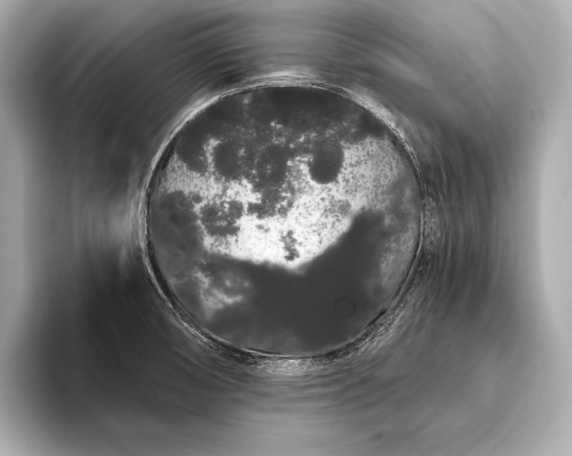 X0000093411474200710260928