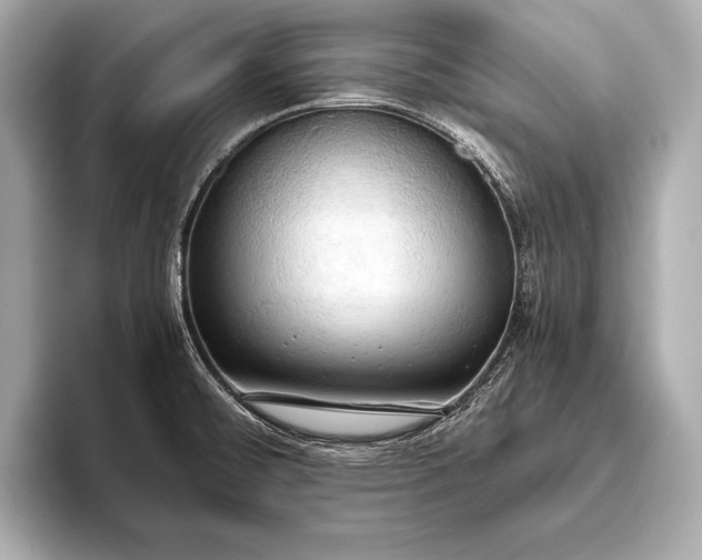 X0000093411476200710260928