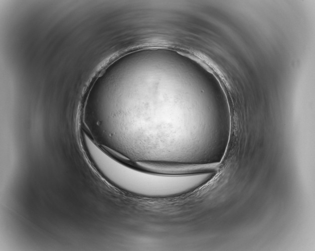 X0000093411477200710260928