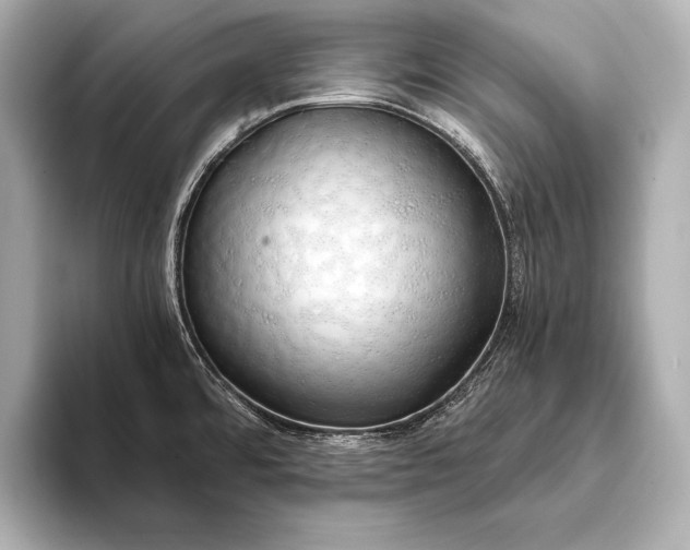 X0000093411480200710260927