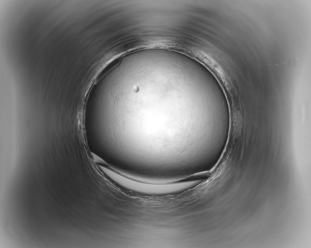 X0000093411481200710260927