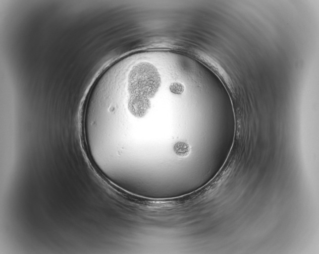 X0000093411483200710260927