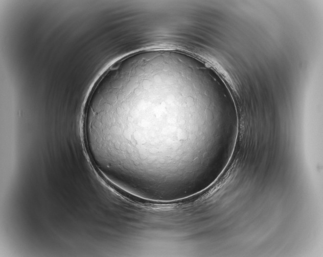 X0000093411484200710260927