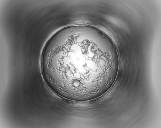 X0000093411486200710260927