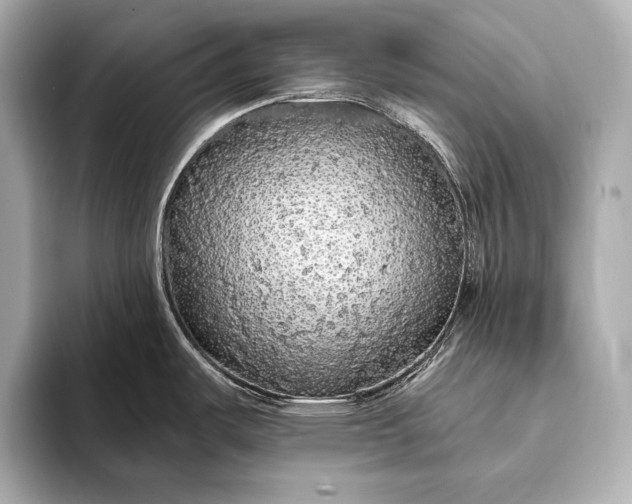 X0000093411487200710260927