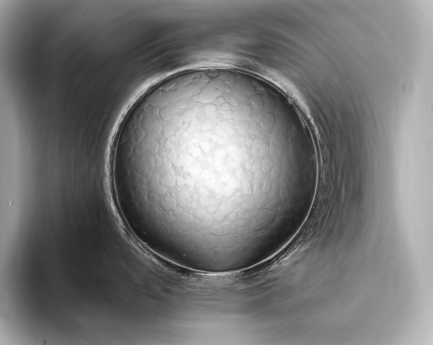 X0000093411488200710260927