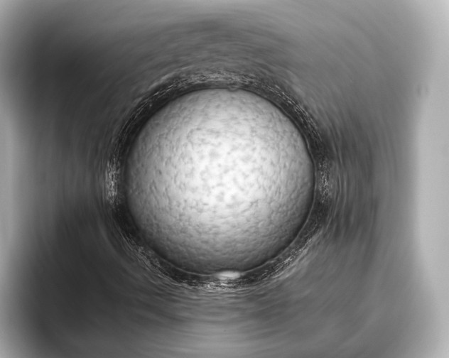 X0000093411490200710260927