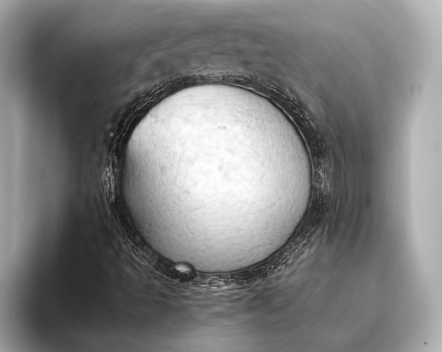 X0000093411493200710260927