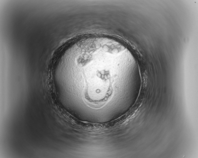 X0000093411494200710260927