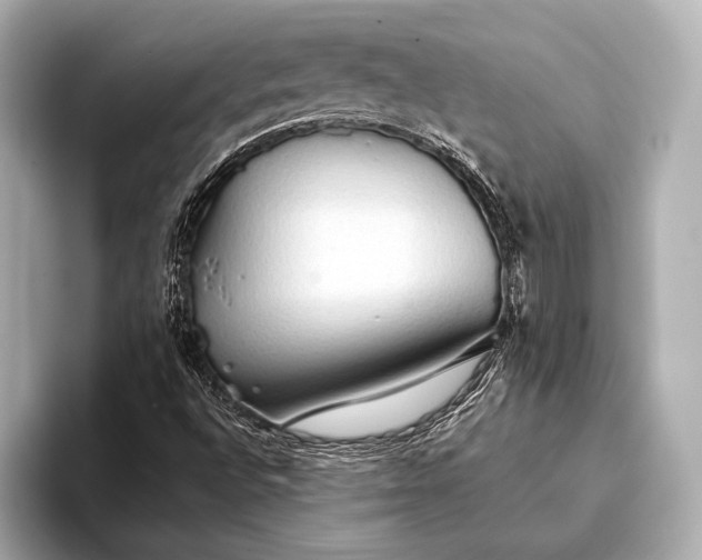 X0000093411496200710260927