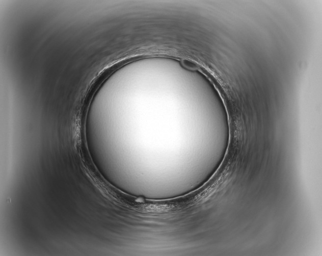 X0000093411499200710260927