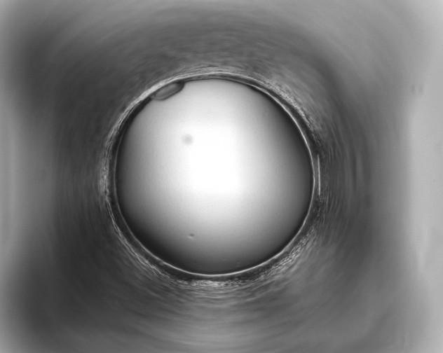 X0000093411500200710260927