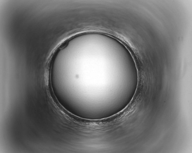 X0000093411504200710260927