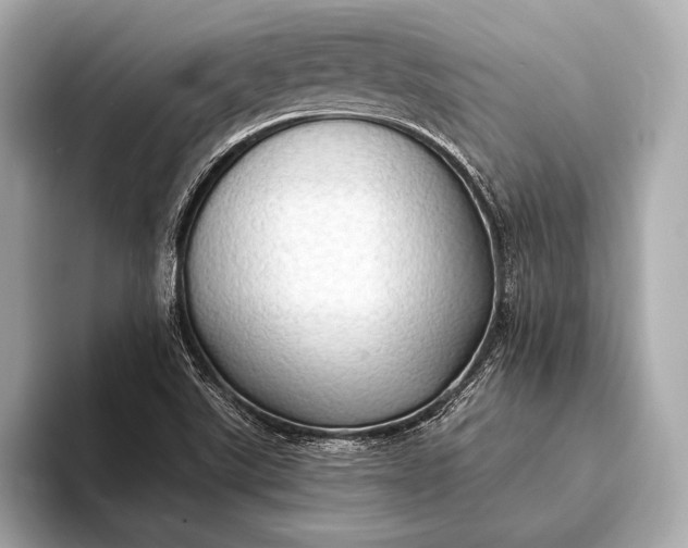 X0000093411507200710260927