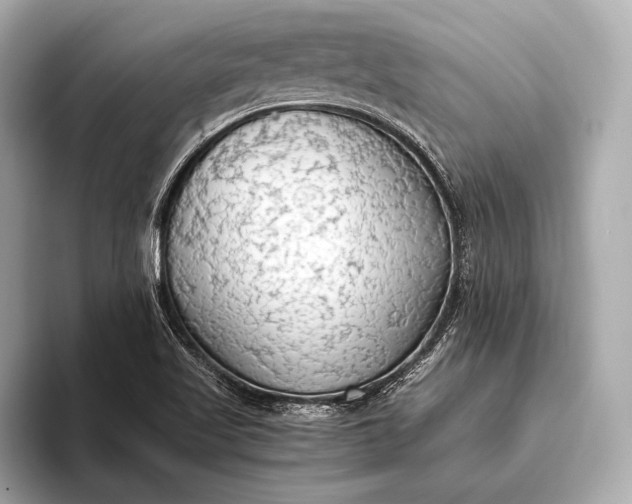 X0000093411509200710260927