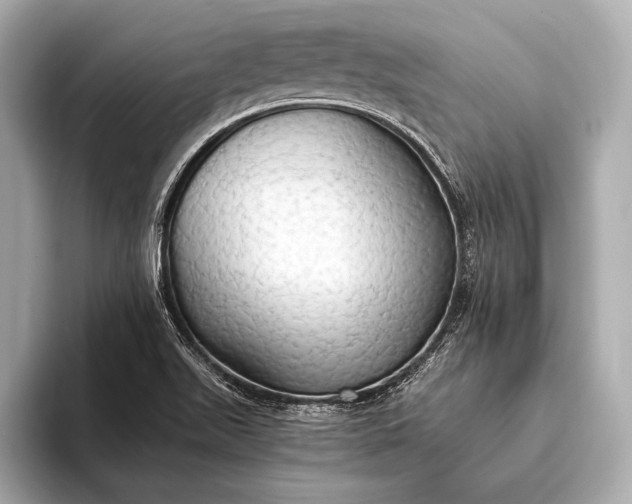 X0000093411511200710260927