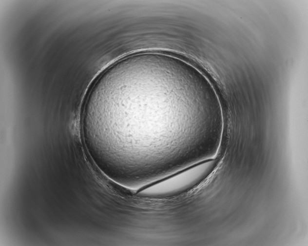 X0000093411513200710260927