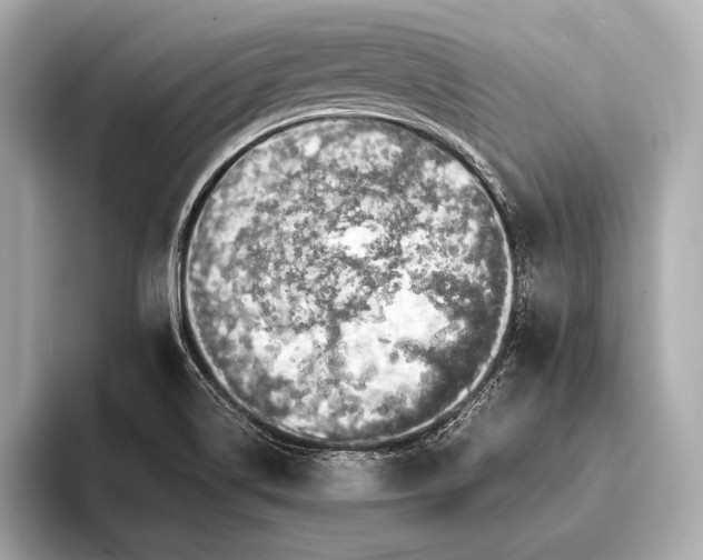 X0000093411514200710260927