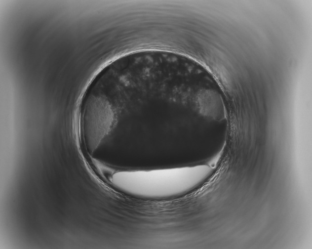 X0000093411515200710260927