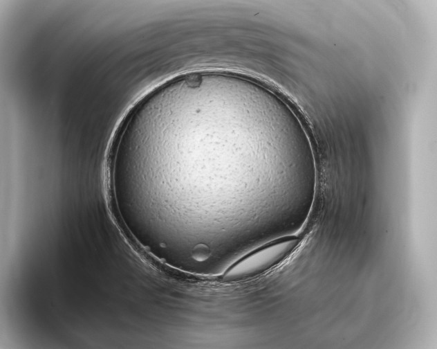 X0000093411517200710260927