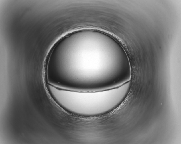 X0000093411518200710260927