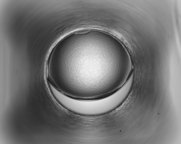 X0000093411520200710260927