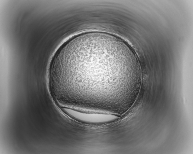 X0000093411523200710260927