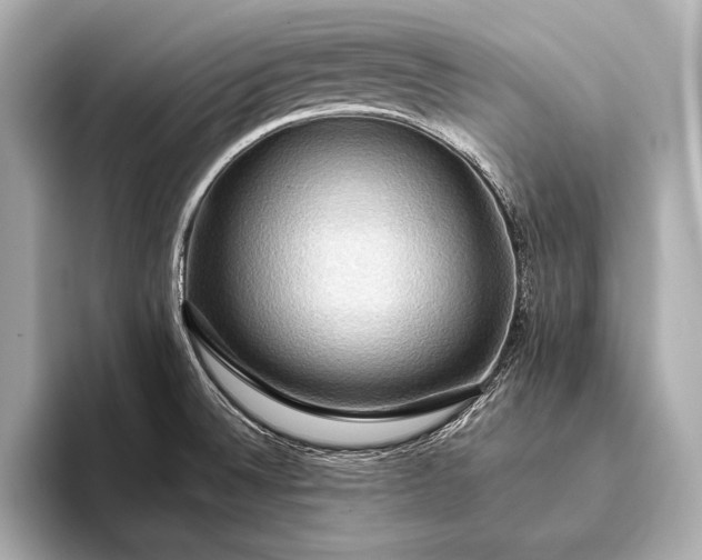 X0000093411524200710260927