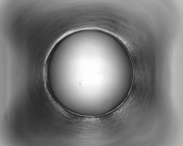 X0000093411526200710260927