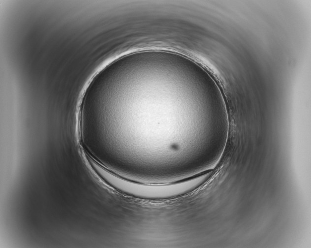 X0000093411528200710260927