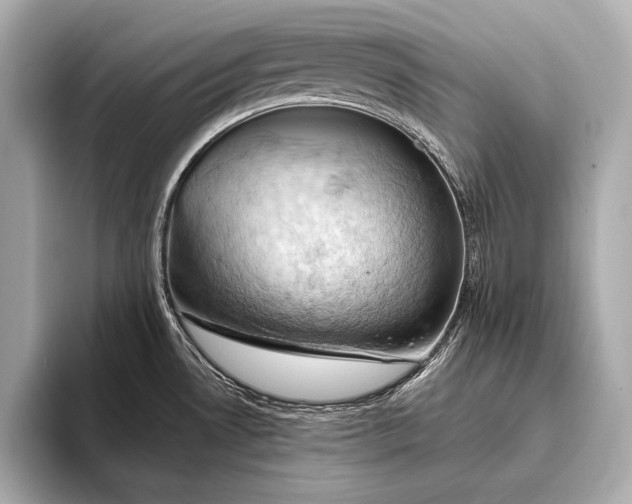 X0000093411530200710260927